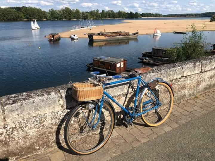 B&B Cote Loire Les Rosiers 외부 사진